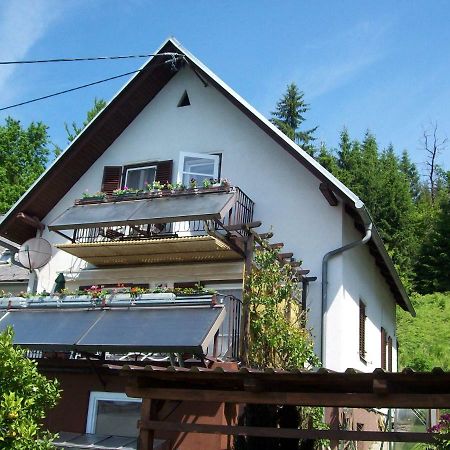 Riedl Gästewohnung Klagenfurt am Wörthersee Exterior foto